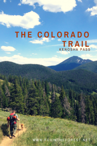 Colorado Trail - Pin me