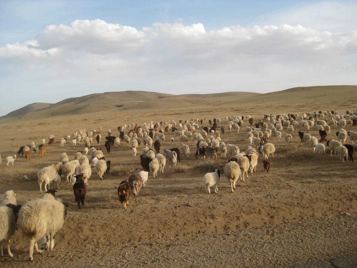 road trip mongolia