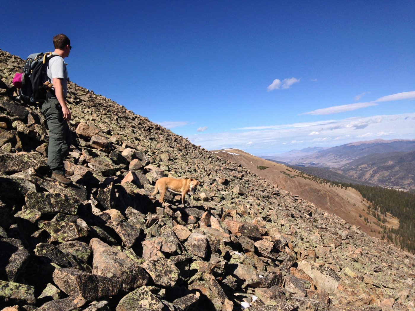 Mt Guyot with a dog