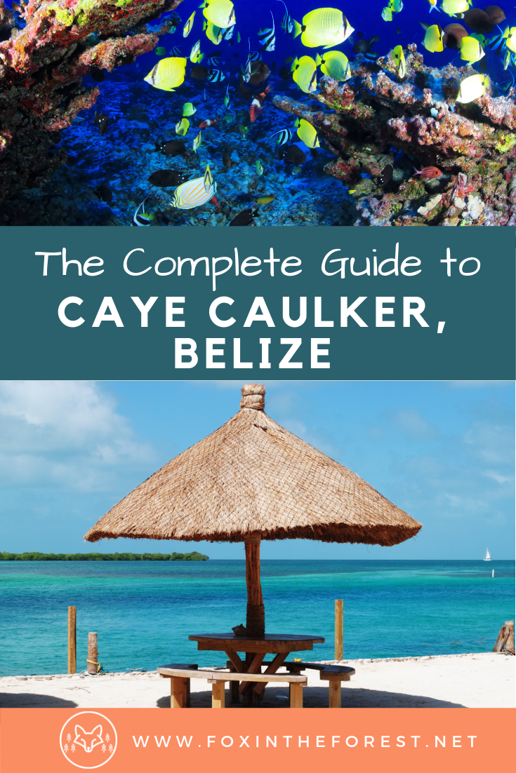 Travel guide to Caye Caulker, Belize. The best island in the Caribbean. Activities and things to do in Caye Caulker, Belize. Travel to Caye Caulker, Belize. #Belize #CentralAmerica #travel #CarribbeanTravel