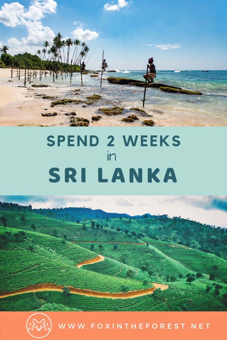Spend the perfect two weeks in Sri Lanka with this Sri Lanka travel itinerary. Explore Ella, ride the trains in Sri Lanka, go on a wildlife safari, and relax at the beach. Best things to do in Sri Lanka. #srilanka #travel #asiatravel #asia #outdoortravel