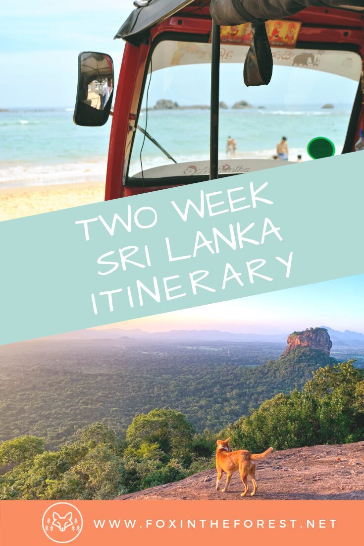 Spend the perfect two weeks in Sri Lanka with this Sri Lanka travel itinerary. Explore Ella, ride the trains in Sri Lanka, go on a wildlife safari, and relax at the beach. Best things to do in Sri Lanka. #srilanka #travel #asiatravel #asia #outdoortravel