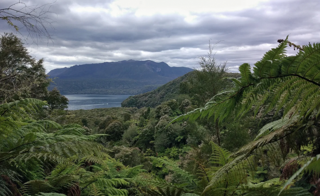 tramping trails on the north island of new zealnd