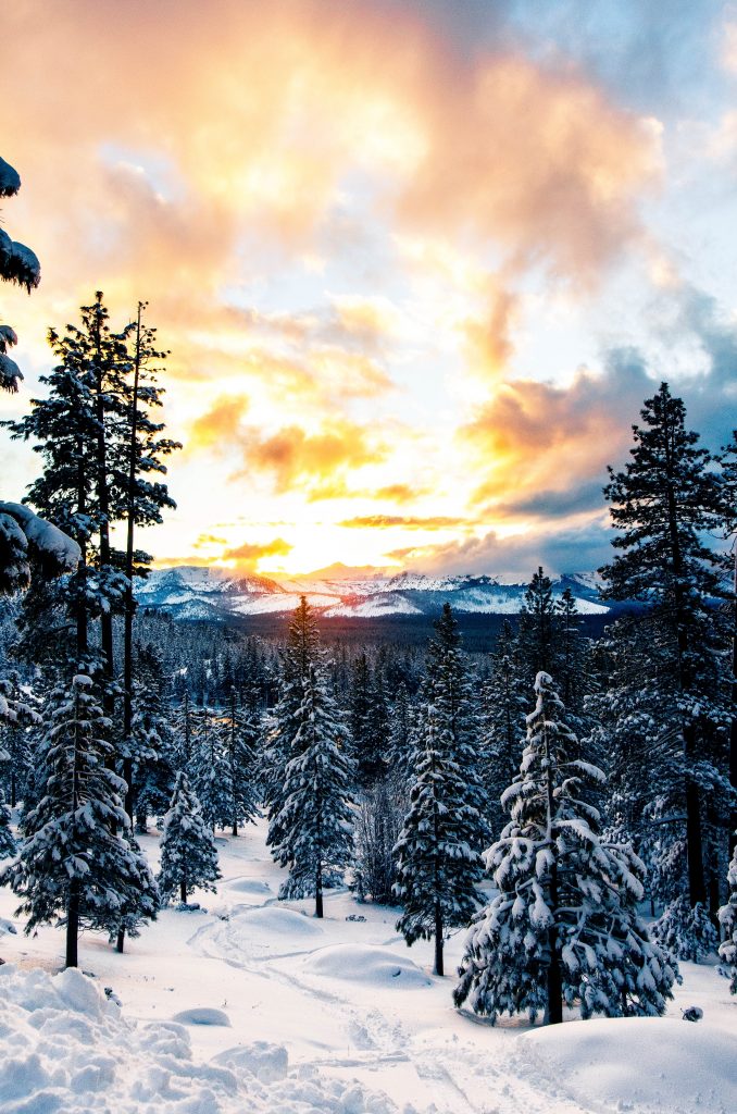 Things to do in south lake tahoe in winter