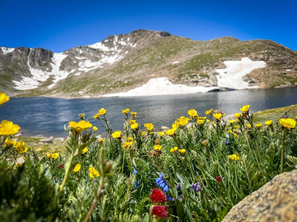 mt blue sky a colorado 14er in mid-summer with wildflowers and a lake
