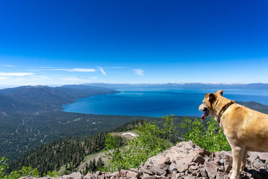 best views in Lake Tahoe