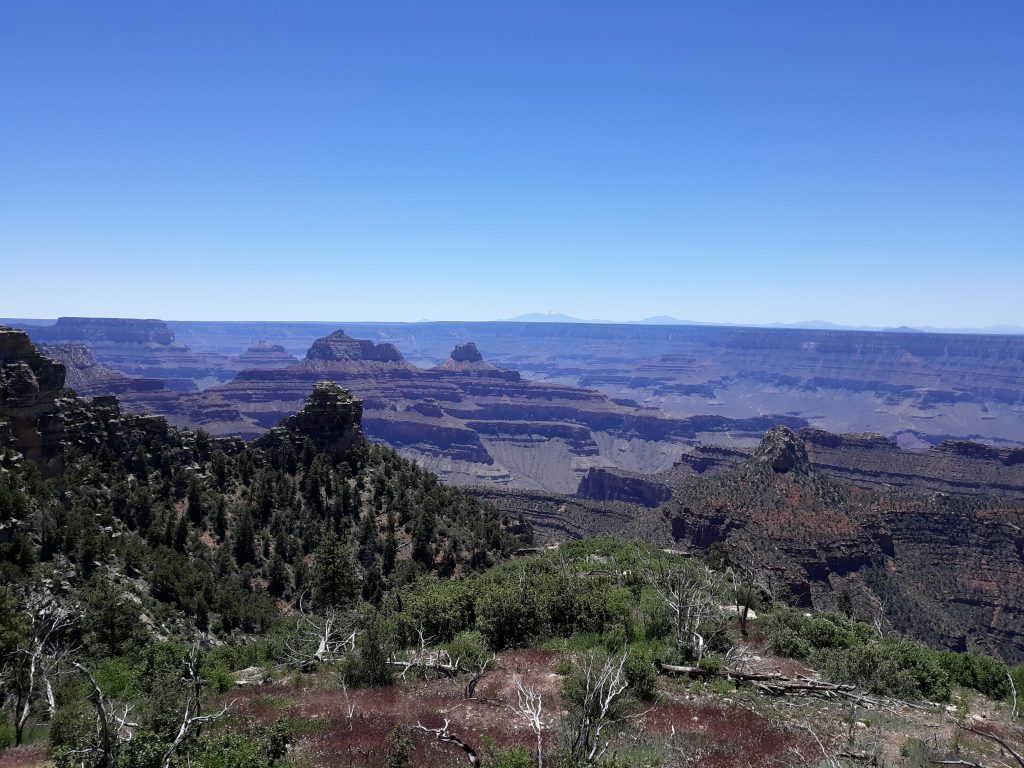Grand Canyon Viewpoints
