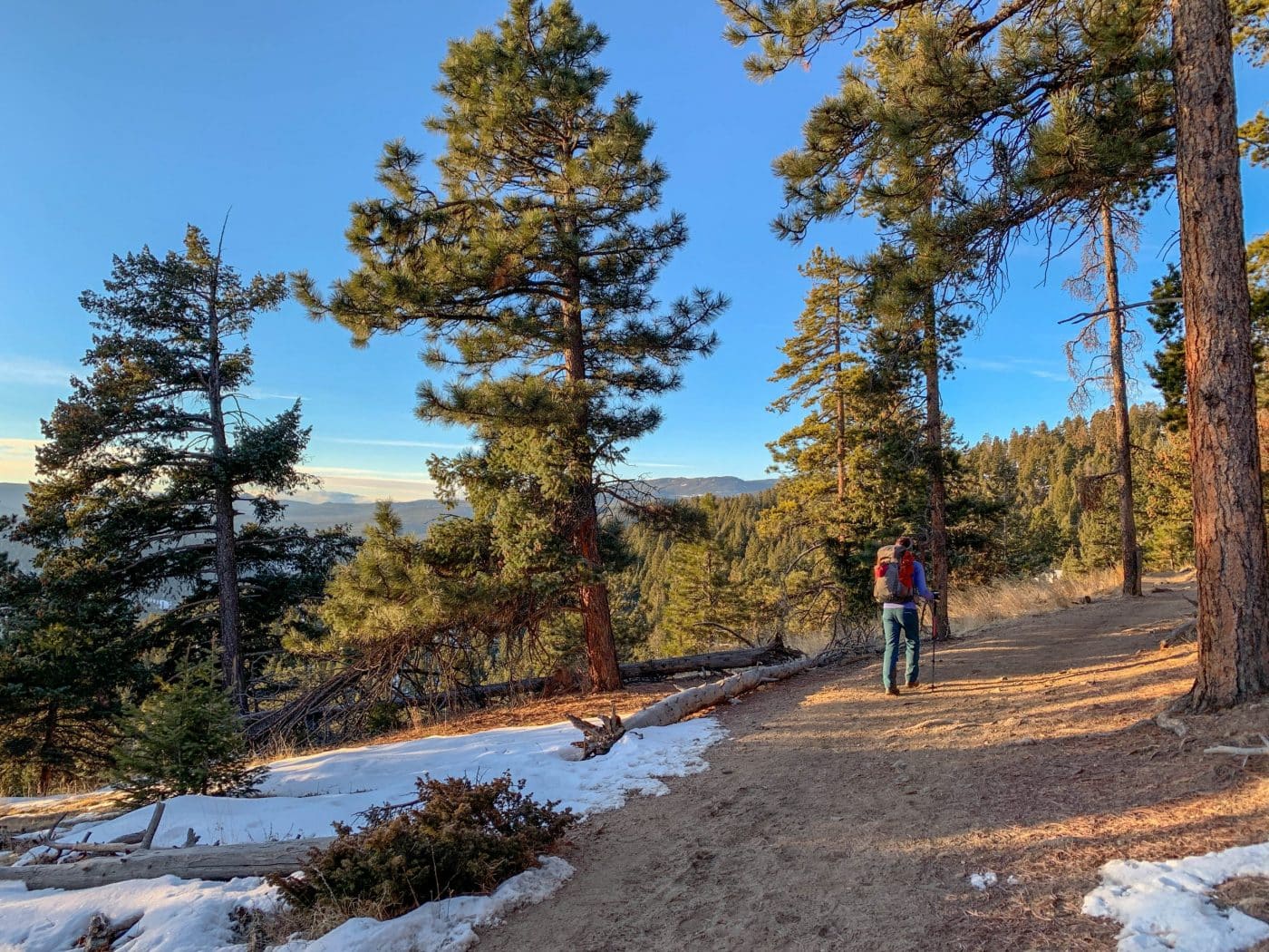 11 Amazing Hikes in Evergreen, CO You MUST Hike