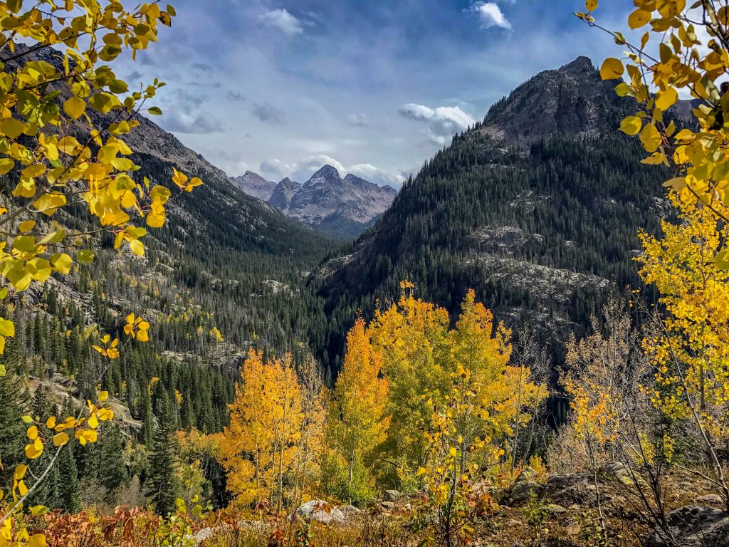 fall colors in the colorado