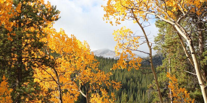 best drives in Colorado for fall