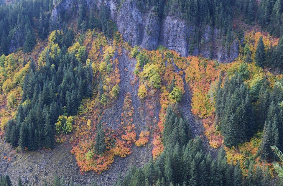 Best national Parks in the USA for fall colors