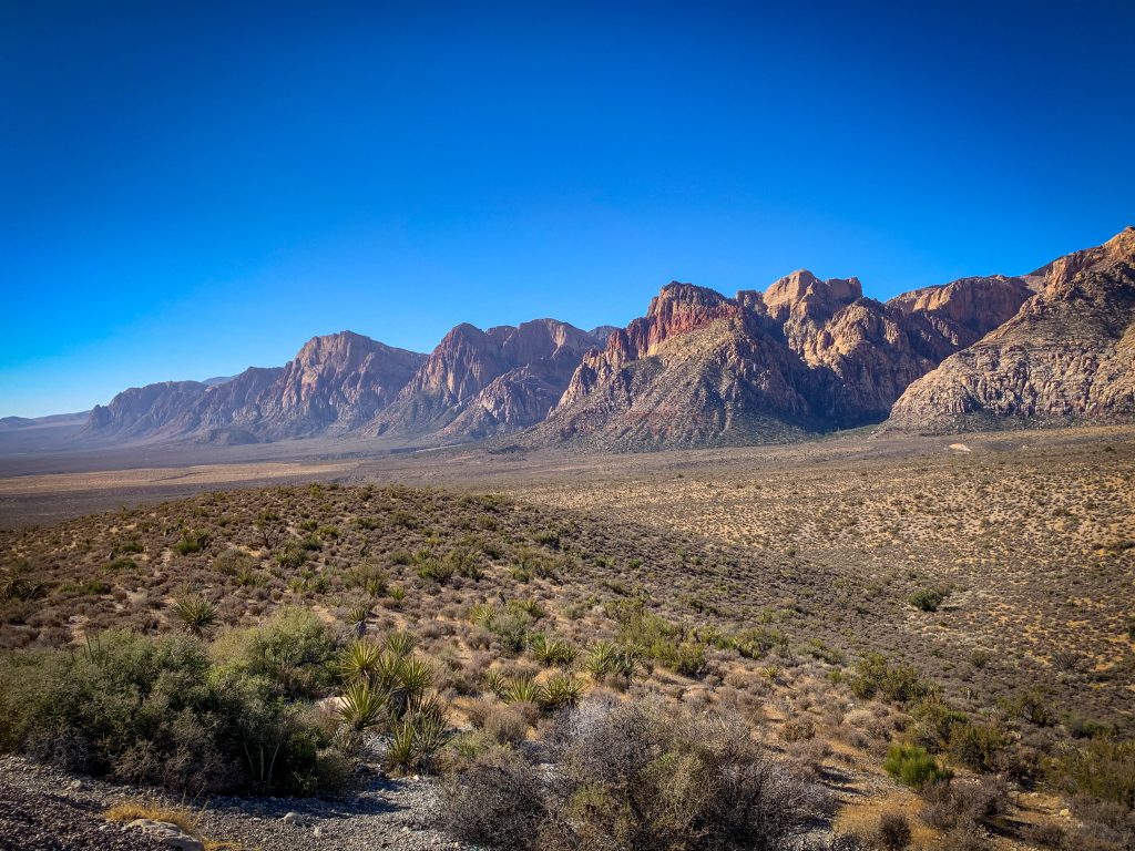 scenic views of red rock canyon