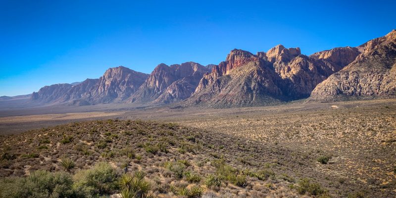 scenic views of red rock canyon
