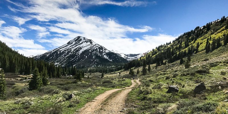 things to do in buena vista