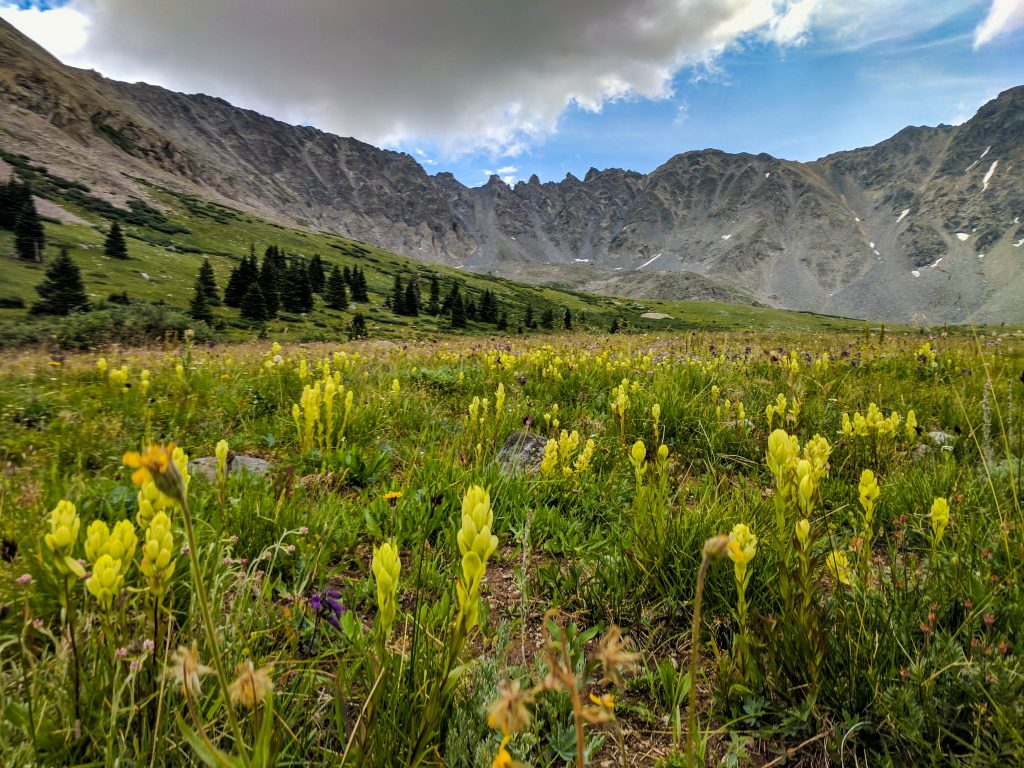 breckenridge colorado in summer