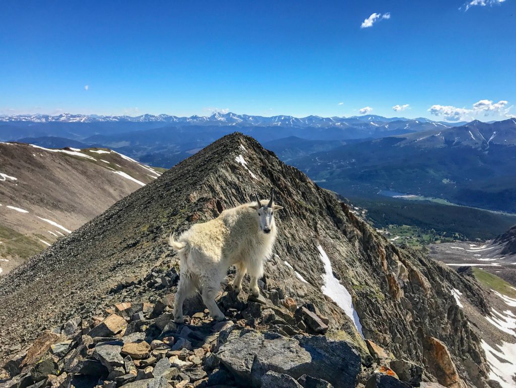 things to do in breckenridge in summer