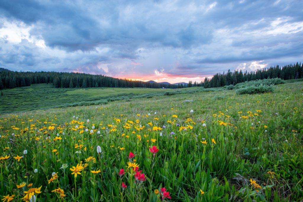 things to do in vail in summer