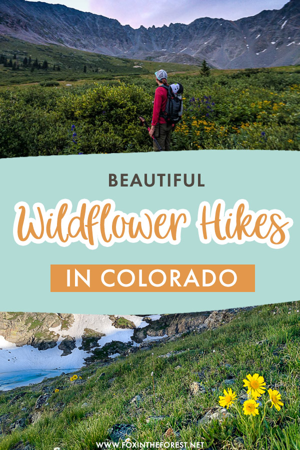 12 Of The Best Wildflower Hikes in Colorado That You’ll Never Forget