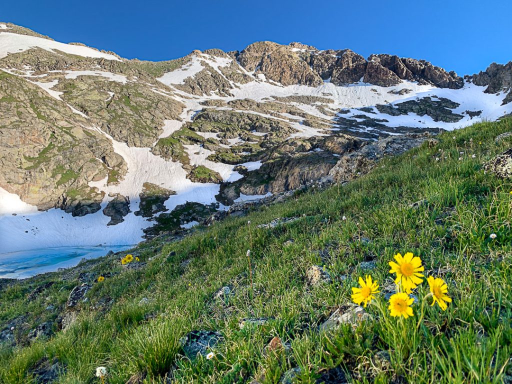 wildflower hikes colorado