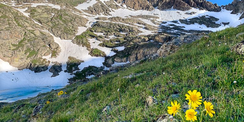 wildflower hikes colorado