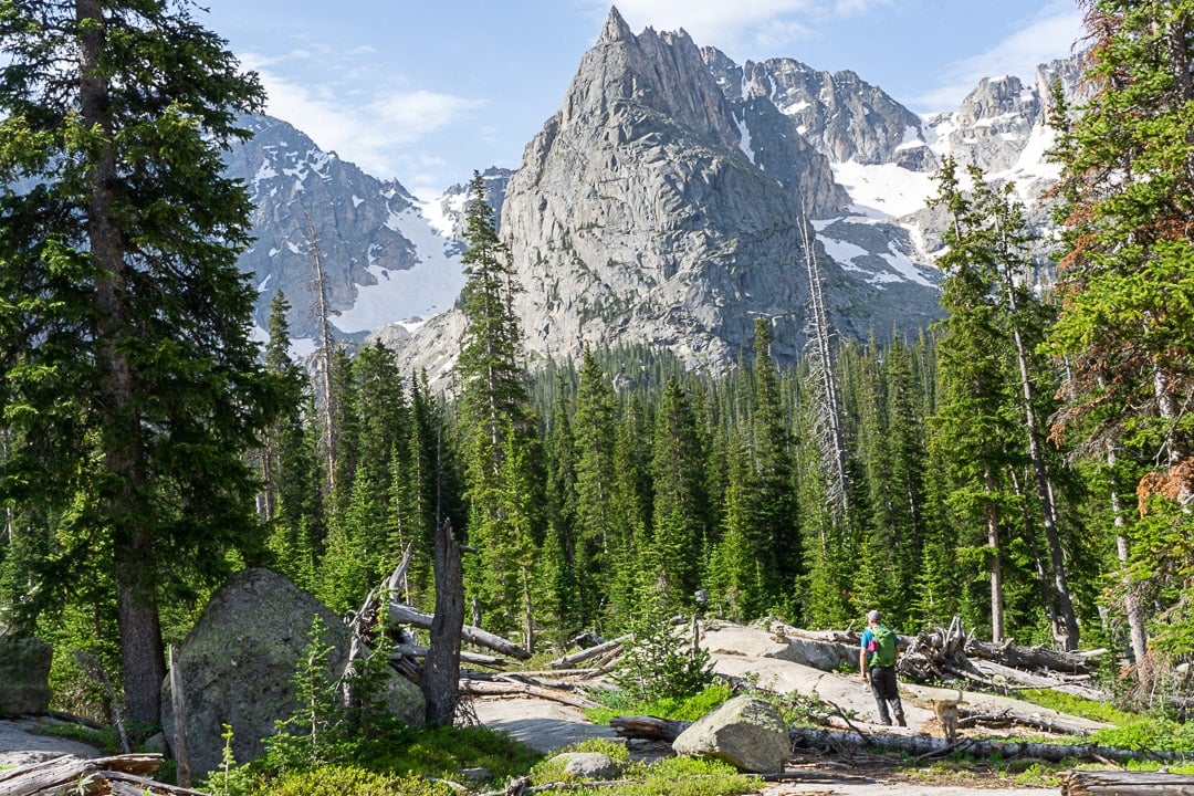 12 Of The Best Wildflower Hikes in Colorado That You’ll Never