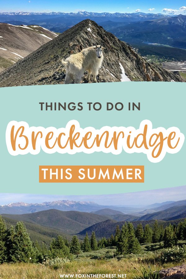 Wondering what to do in Breckenridge, Colorado? Breckenridge is one of the best summer destinations in Colorado, and here are the best things to do in Breckenridge this summer that will make you want to stay!