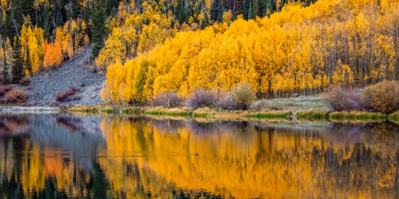 things to do in Colorado In October