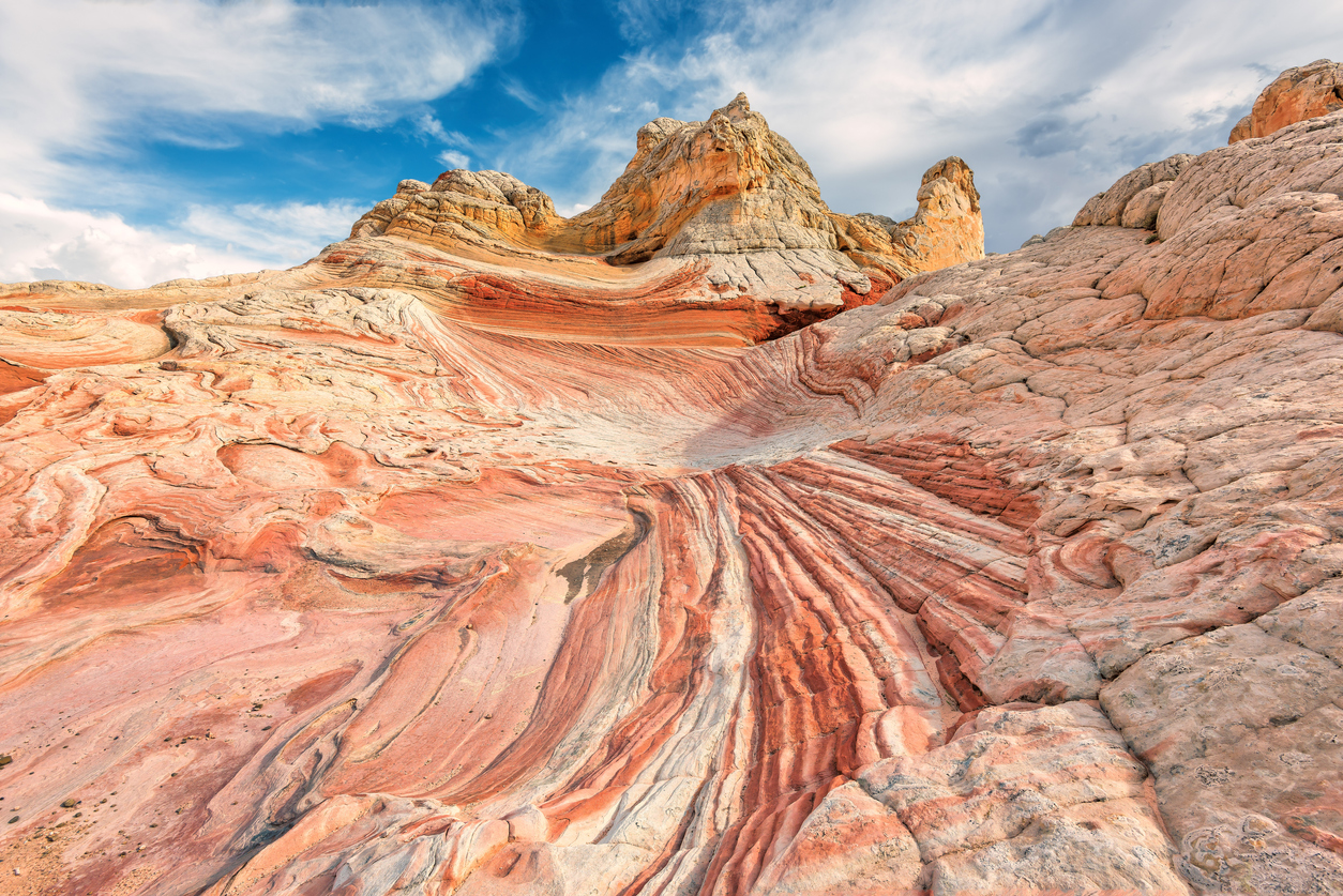 white pocket arizona