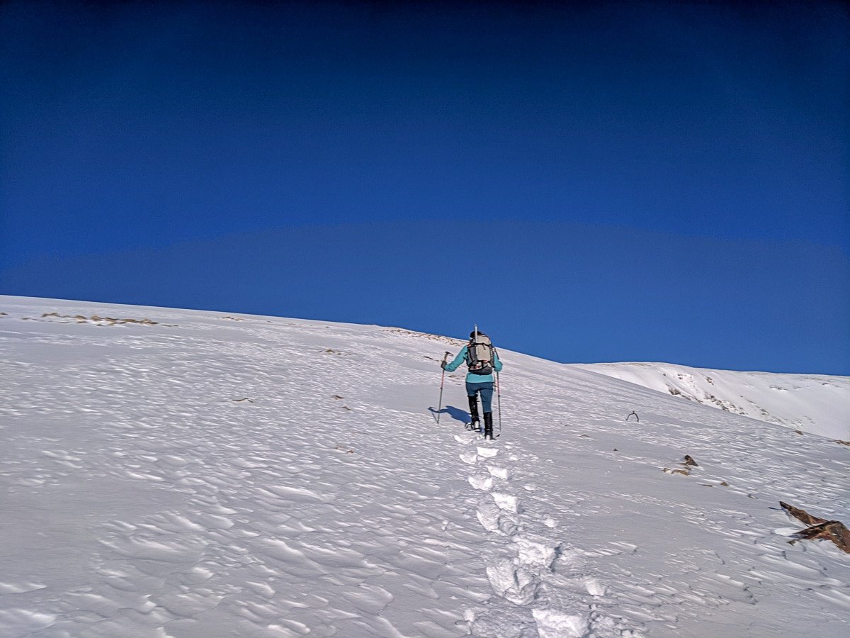 The Ultimate (Local) Guide to Snowshoeing Near Denver