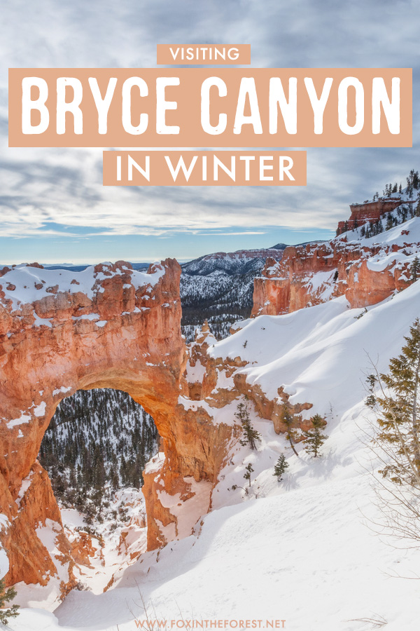 Your ultimate guide to Bryce Canyon in winter, including things to know, what to do, how to beat the crowds, and everything you could need to make the most out of your visit to Bryce Canyon in winter.