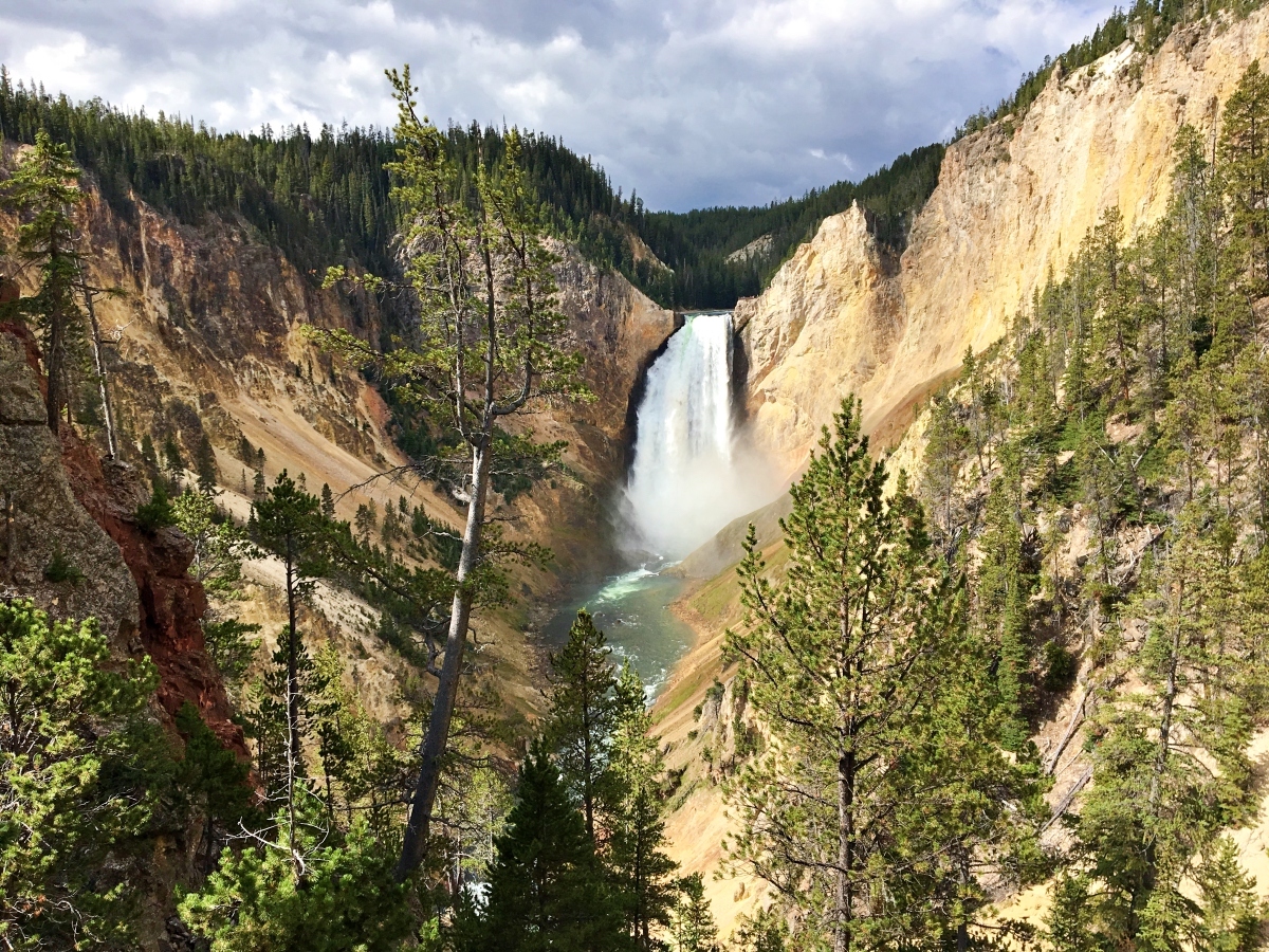 View of Yellowstone Falls from red Rock Point in Yellowstone National Park.