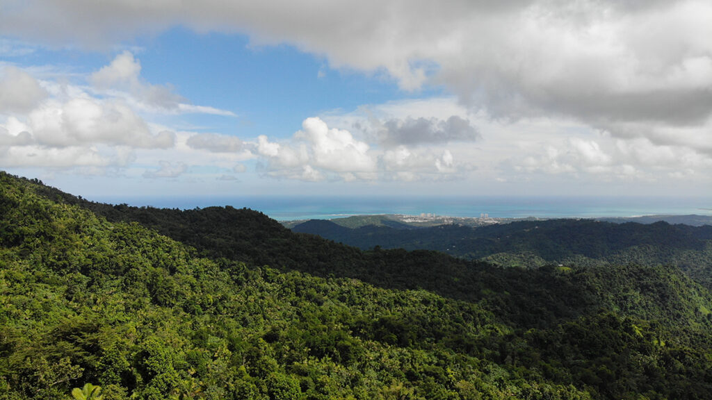 View from El Yunque National Rainforest in Puerto Rico. 
