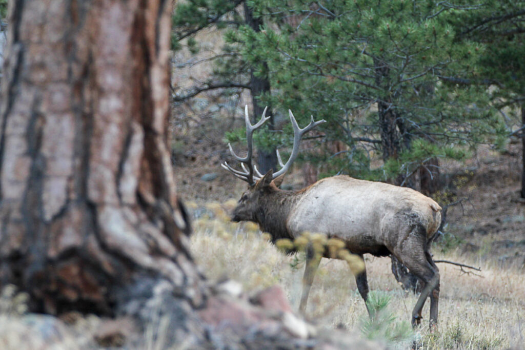 When to visit estes park