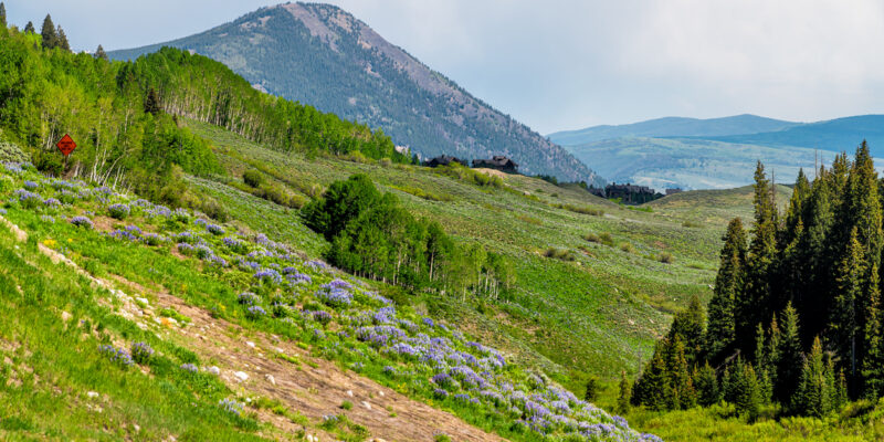 View from Oh-Be-Joyful Trail in Crested Butte.