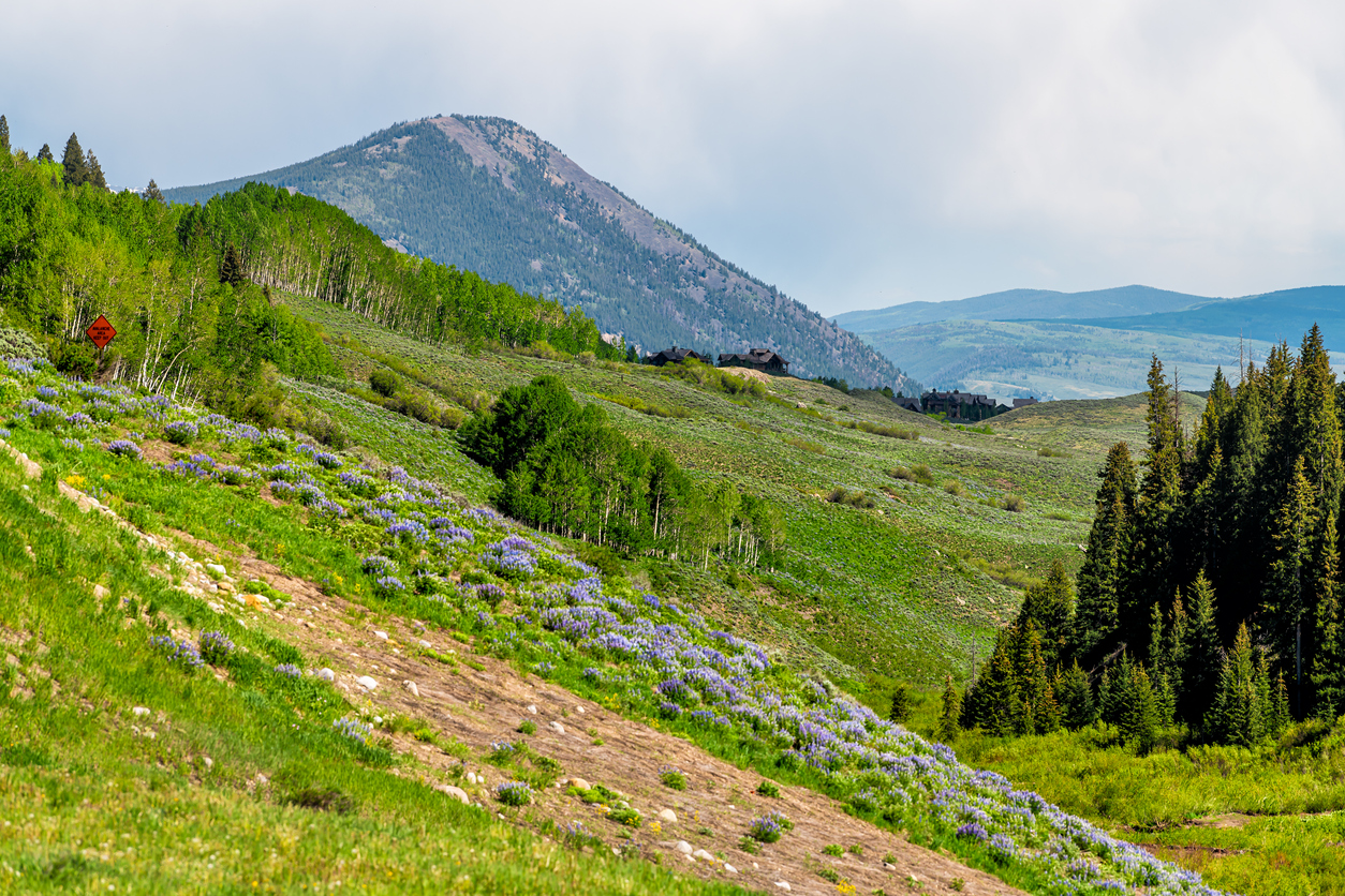 View from Oh-Be-Joyful Trail in Crested Butte.