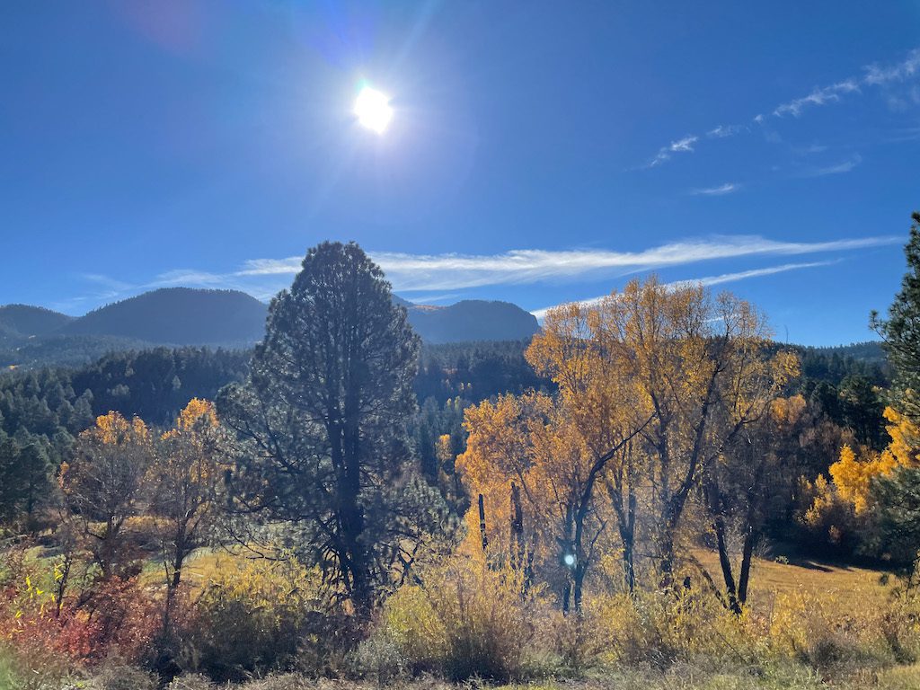 Stunning view of Walk Creek Pass and the sun is out and shining on the trees with their fall foliage.