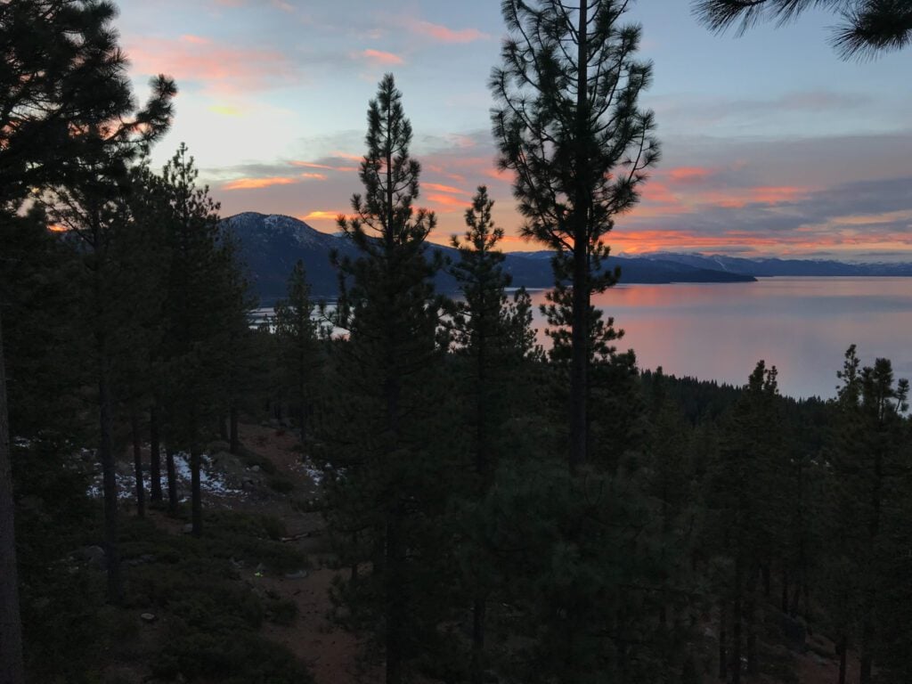 A view of the trees covered in shadows with the sun setting in the background with a pink sky.