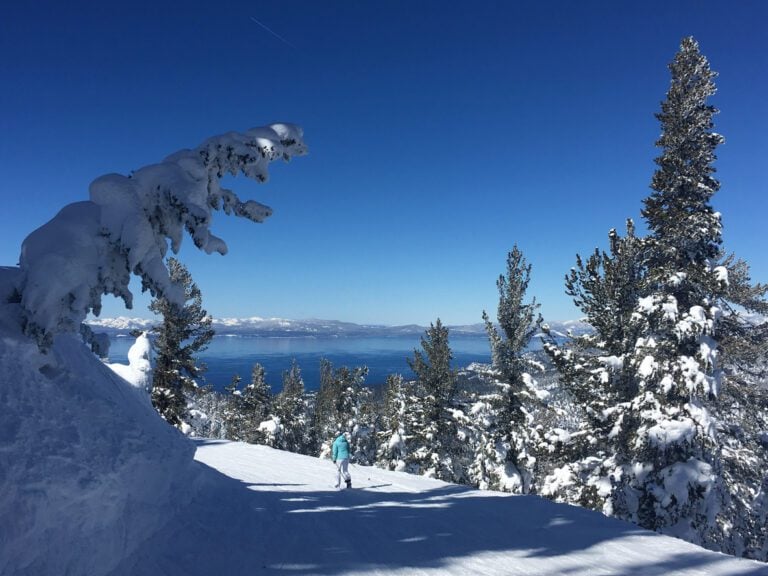 A person in blue walking on a snow covered ground and through pine trees covered in snow with a view of the lake in the background.