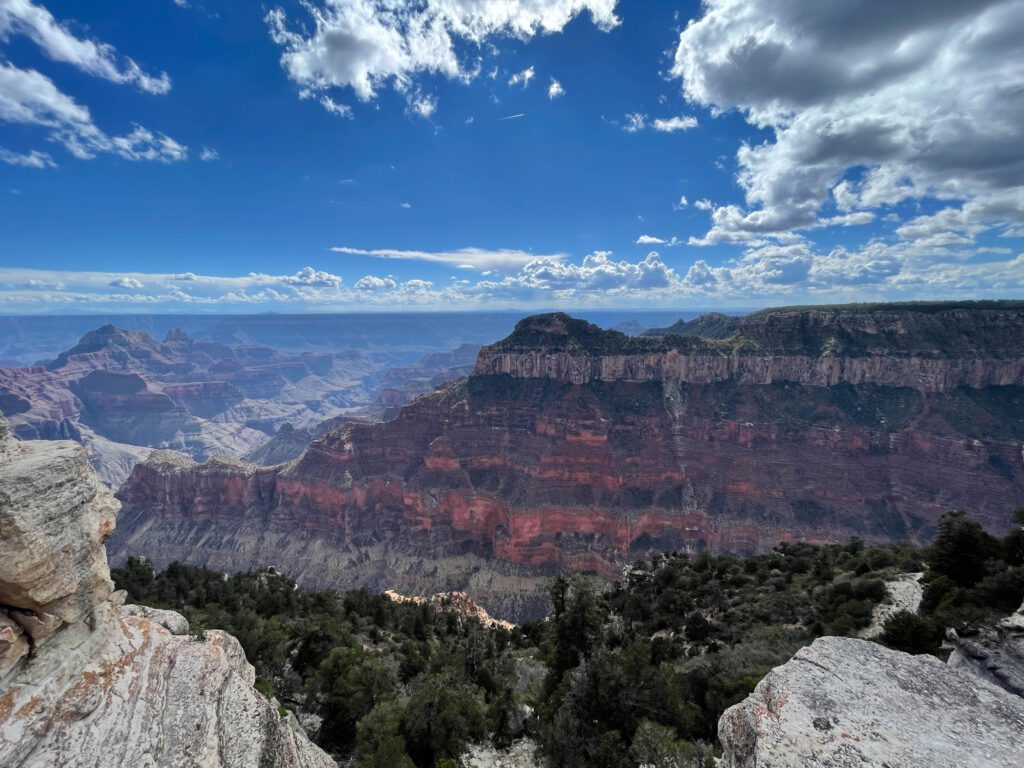 Stunning view of the Grand Canyon on a bright sunny day. 