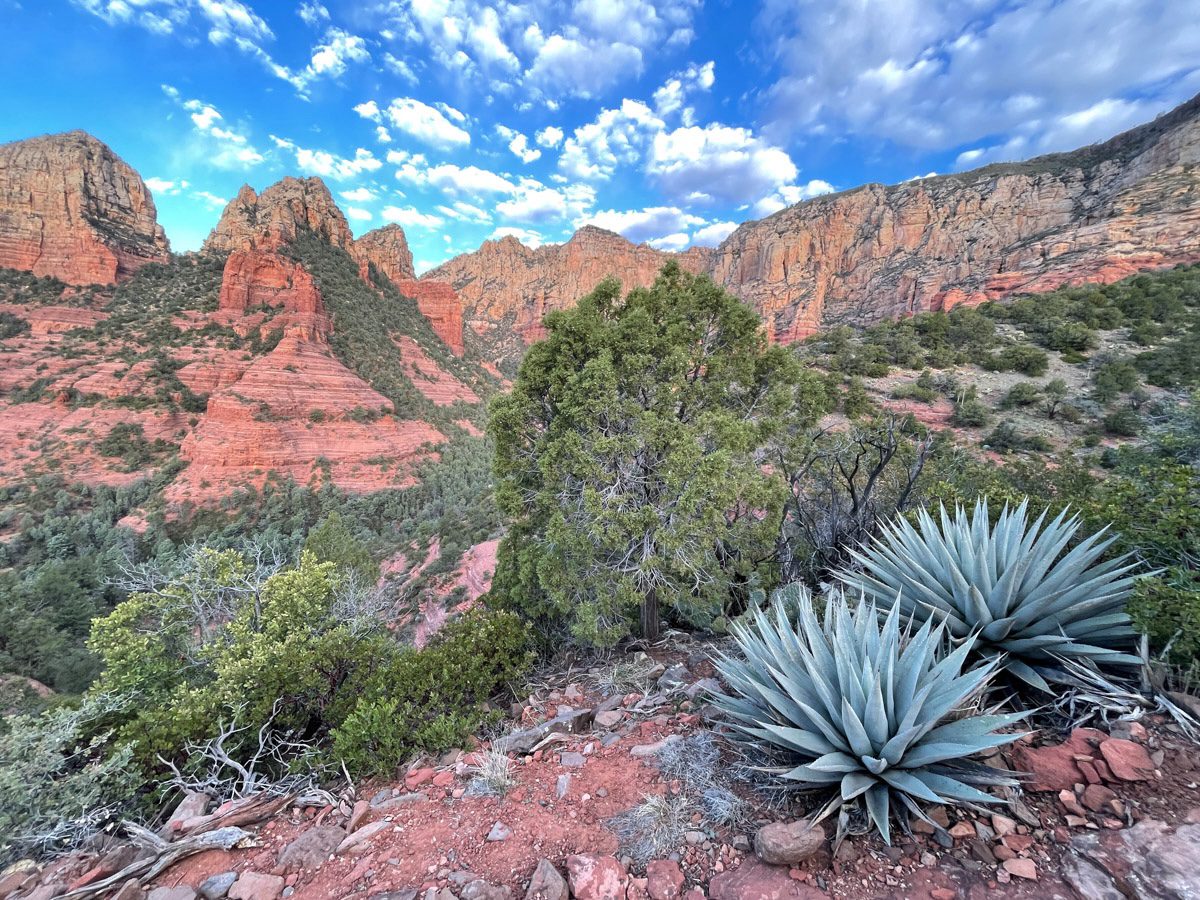 A view of the red rock, desert landscape around Sedona with green plants in the foreground on a sunny day in Sedona.