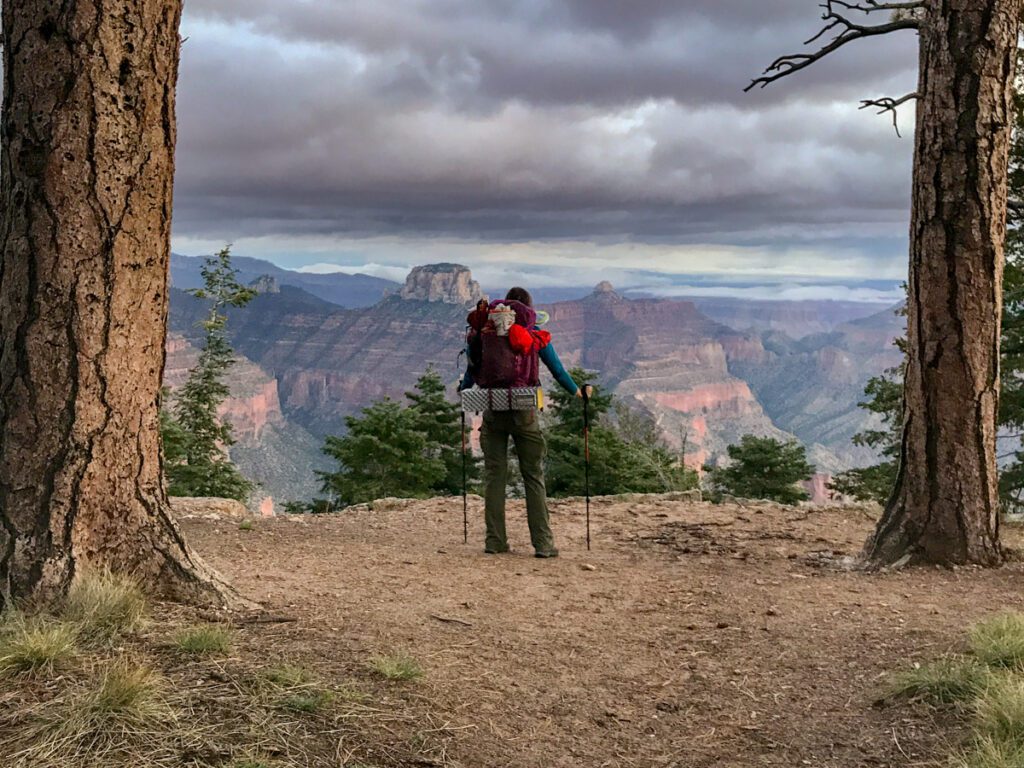 Meg standing in a red shirt and dark pants with a backpack on in between two tall trees. She is looking out at the Grand Canyon on a cloudy day. 