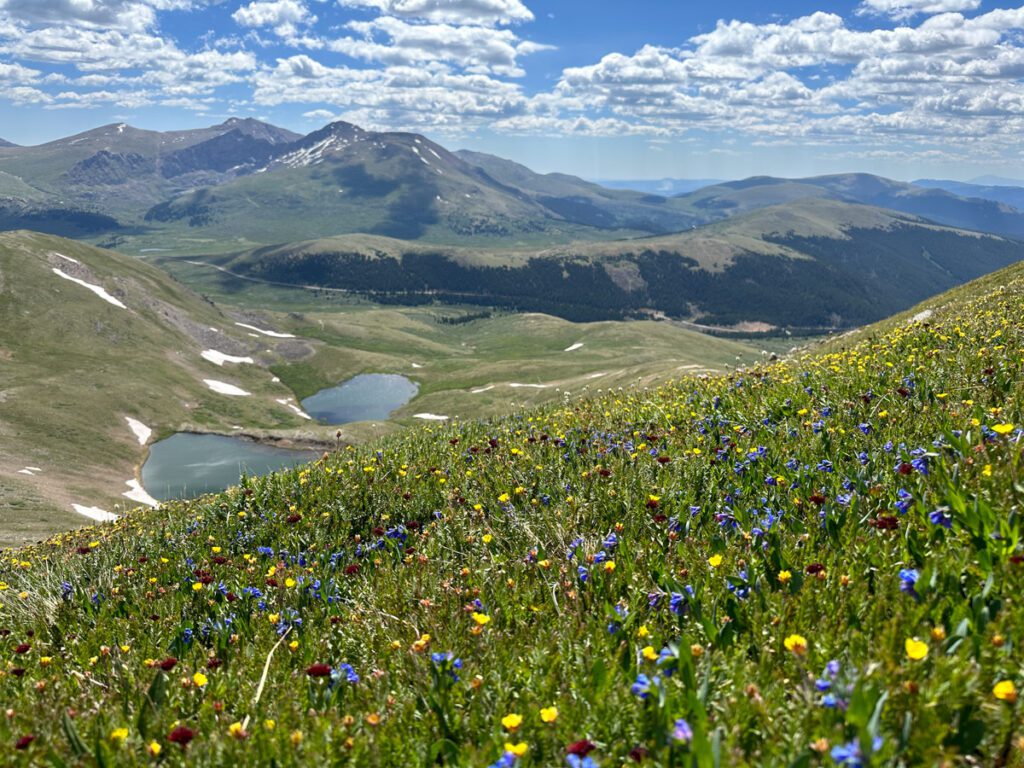 View of the mountains in Colorado in summer on a bright sunny day. You can see large green meadows filled with wildflowers and the mountains in the distance along one of the most challenging hikes in Colorado. 